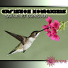 Christos Koulaxizis - The Time Traveler
