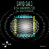 David Calo、Hernan Serrao - Fish Harmonizer (Hernan Serrao Remix)