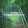 自然の音と音楽、レイキヒーリングユニット、ハタヨガ音楽ゾーン - たそがれの竹林での語り