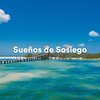 Buena Mañana、Saludo al Sol Sonido Relajante、Academia de Música de la Música Ambiente - Canción del Anochecer (Musica Relajante para Meditación y Sueño)
