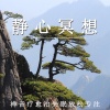 疗愈音律 - 停在我幽幽心上