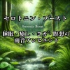 Healing Relaxing BGM Channel 335《穏やかなレインメディテーション《穏やかな雨音で心の平穏を見つける》[MP3/LRC]