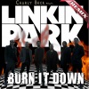 Charly Beck、Linkin Park《Burn It Down (Charly Beck Remix)》[MP3/LRC]