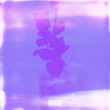 A2 - Flowers x Patron (Explicit)
