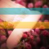 Robert Carollo - The Beauty Of Spring