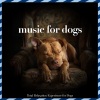 Relax My Dog、Dog Music Therapy、Pet Music Therapy - Staying Rested