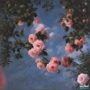 Ion Briceag、Lifted LoFi - mornin' smile