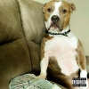 Bookie. - SUPER (Explicit)