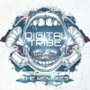 Digital Tribe、2Komplex - Riot (2Komplex Remix)