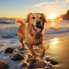 El Moisés、Ondas de música para perros - Cascada Suave Para Cachorros Descansados