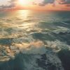 Songs for Dogs to Sleep To、Sure Shores、Announcement Love - Relaxing Ocean for Dog's Escape