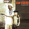 Ricardo Leyva Y Sur Caribe - Aprendí caminando