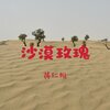 黄仁烁 - 沙漠玫瑰 (dj版)