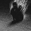 Whyustressed - restraints (Explicit)