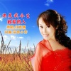红蔷薇 - 你是我今生最爱的人