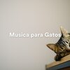 Música para gatos、Música para dormir Gatos、Música para dormir de gato - Atardecer en la Playa (Música Relaxante para Meditação e Sono)