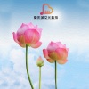 笛语 - 夜半歌声 (中国经典民乐)
