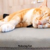 Cat Sleeping Music Project、Rainy Day for Sooth Cats、Sleepy Cat - Gentle Paws Melodies