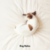 Dog's Music、Dogs Music Therapy、Good Dog Music - Paws in Paradise