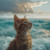 Canciones de la naturaleza Música de la naturaleza、Los sonidos de las olas del mar、Música para dormir Gatos《Tranquilidad Marina Para Gatos》[MP3/LRC]