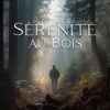 Zen Ambiance D'eau Calme - Forêt tranquille - Musique d’ambiance