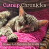 Pet Sandman、RelaxMyCat、Cat Music Dreams - Feline Serenity: Tranquil Lofi Melodies (feat. RelaxMyCat & Cat Music Dreams)
