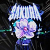 Whydg - SAKURA