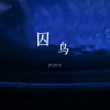 ycccc《囚鸟 (氛围版)》[MP3/LRC]