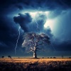 Relaxing Music、Dropletecal、Aurora Beach - Embrace of the Whispering Storm