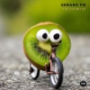 Gerard FM - The Sound