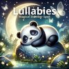 Baby Music Center - Teddy Bear's Lullaby