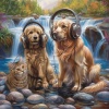 Pet Music World、Waterfall Sound、Seimar《Stream Pets Serene》[MP3/LRC]