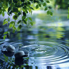 Matter and Energy、Riverside Underground、Zen Master - Flowing Harmony Water Pulse