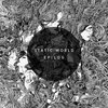 Static World - Analog Life