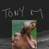 Tony Masters - Diggin' The Scene