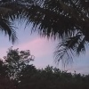 Edwng - Living