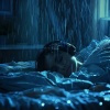 Forest Sounds For Relaxation、Sounds Of Nature : Thunderstorm、Atmospheric Force - Calm Drift Rain