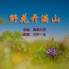 守护一生 - 野花开满山 (舞曲版)