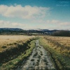 Oathless - Desire Paths