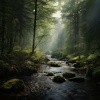 Relax with Waves、River Sounds、Wrap Yourself Up - Calming Waters of Gentle Stream
