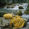 Peaceful Dreams、H20 Recording、The Flowes of Zyn - Lullaby Waters Calm