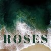 没送过女孩花 - Roses