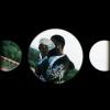 000jigg - Losing My Head
