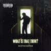 MistrCarter - What Is That There? (Explicit)