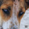 Ty Drez - No Sientes (Explicit)