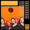 Jaysanityy、Wiseboy Jeremy - slang hope (Explicit)