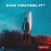 Red Machine - Can You Feel It?