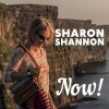 sharon shannon - Benji's Rollicks