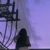 数过日落 - 达尔文