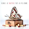Pier - Like A Moth To A Flame